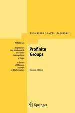 Profinite Groups