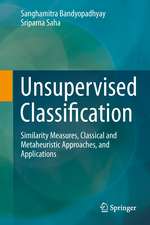 Unsupervised Classification: Similarity Measures, Classical and Metaheuristic Approaches, and Applications