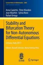 Stability and Bifurcation Theory for Non-Autonomous Differential Equations: Cetraro, Italy 2011, Editors: Russell Johnson, Maria Patrizia Pera