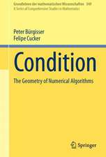 Condition: The Geometry of Numerical Algorithms