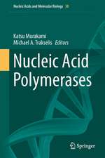 Nucleic Acid Polymerases