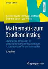 Mathematik zum Studieneinstieg: Grundwissen der Analysis für Wirtschaftswissenschaftler, Ingenieure, Naturwissenschaftler und Informatiker