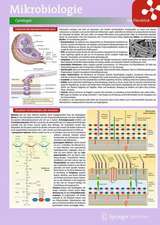 Lerntafel: Mikrobiologie im Überblick