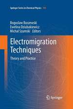 Electromigration Techniques: Theory and Practice