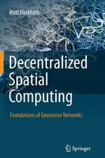 Decentralized Spatial Computing: Foundations of Geosensor Networks