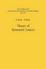 Theory of Symmetric Lattices