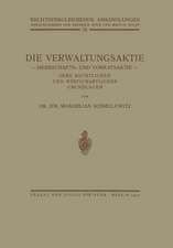 Die Verwaltungsaktie: Herrschafts- und Vorratsaktie, Ihre Rechtlichen und Wirtschaftlichen Grundlagen