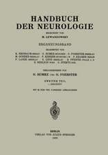 Handbuch der Neurologie: Ergänzungsband Zweiter Teil 1. Abschnitt