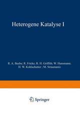 Heterogene Katalyse I