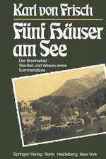 Fünf Häuser am See: Der Brunnwinkl Werden und Wesen eines Sommersitzes