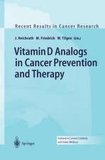 Vitamin D Analogs in Cancer Prevention and Therapy