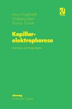 Kapillarelektrophorese: Methoden und Möglichkeiten