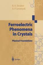 Ferroelectric Phenomena in Crystals: Physical Foundations