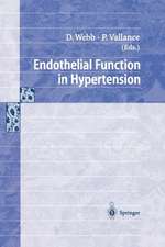 Endothelial Function in Hypertension