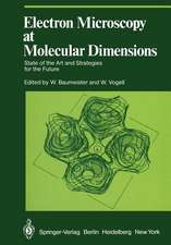 Electron Microscopy at Molecular Dimensions: State of the Art and Strategies for the Future