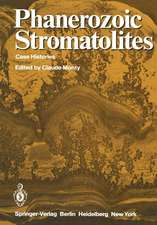 Phanerozoic Stromatolites: Case Histories