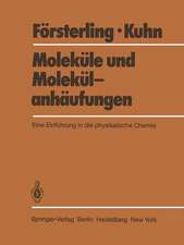 Moleküle und Molekülanhäufungen: Eine Einführung in die physikalische Chemie