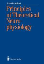 Principles of Theoretical Neurophysiology