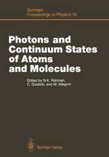 Photons and Continuum States of Atoms and Molecules: Proceedings of a Workshop Cortona, Italy, June 16–20, 1986