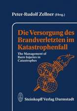 Die Versorgung des Brandverletzten im Katastrophenfall: The Management of Burn Injuries in Catastrophes