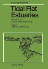 Tidal Flat Estuaries: Simulation and Analysis of the Ems Estuary