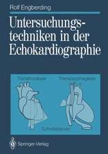 Untersuchungstechniken in der Echokardiographie: Transthorakale, transösophageale Schnittebenen