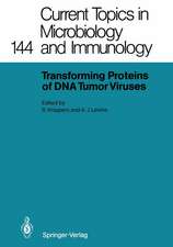 Transforming Proteins of DNA Tumor Viruses