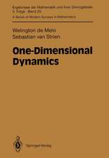 One-Dimensional Dynamics