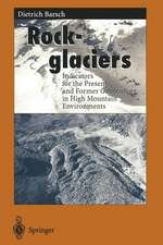 Rockglaciers: Indicators for the Present and Former Geoecology in High Mountain Environments