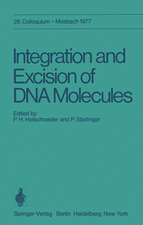 Integration and Excision of DNA Molecules: 28. Colloquium der Gesellschaft für Biologische Chemie, am 21.–23. April 1977 in Mosbach/Baden