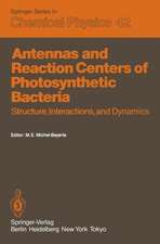 Antennas and Reaction Centers of Photosynthetic Bacteria: Structure, Interactions and Dynamics. Proceedings of an International Workshop Feldafing, Bavaria, F.R.G. March 23–25, 1985