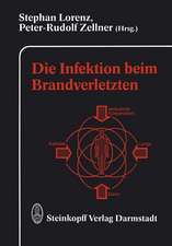 Die Infektion beim Brandverletzten