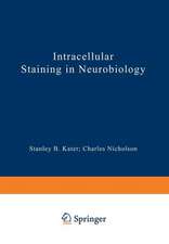 Intracellular Staining in Neurobiology