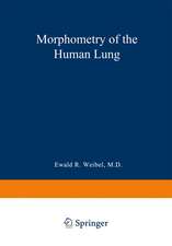 Morphometry of the Human Lung