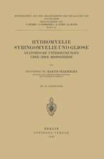 Hydromyelie Syringomyelie und Gliose: Anatomische Untersuchungen über IHRE Histogenese Heft 72