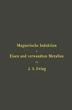 Magnetische Induktion in Eisen und verwandten Metallen