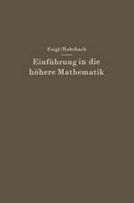 Einführung in die höhere Mathematik: Vorlesungen an der Universität Berlin (1920–1934)