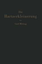 Die Hartzerkleinerung: Maschinen, Theorie und Anwendung in den verschiedenen Zweigen der Verfahrenstechnik