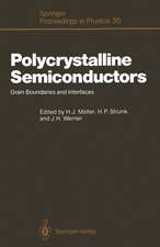 Polycrystalline Semiconductors: Grain Boundaries and Interfaces