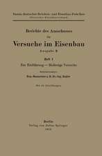 Berichte des Ausschusses für Versuche im Eisenbau Ausgabe B: Zur Einführung — Bisherige Versuche