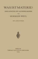 Was ist Materie?: Zwei Aufsätze zur Naturphilosophie