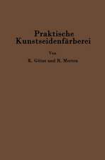 Praktische Kunstseidenfärberei in Strang und Stück