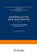 Morphogenie der Hirnrinde