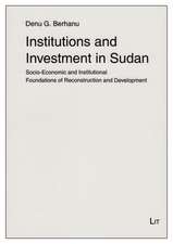 Institutions and Investment in Sudan