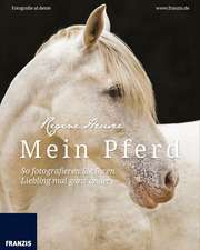 Mein Pferd - So fotografieren Sie Ihren Liebling mal ganz anders