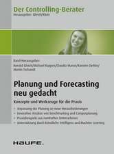 Der Controlling-Berater