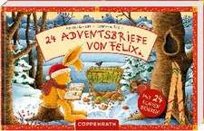 24 Adventsbriefe von Felix