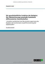 Die gesellschaftliche Funktion der Religion: Die Säkularisierung innerhalb funktional differenzierter Gesellschaften