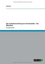 Die Verkehrserziehung im Vorschulalter - Ein Überblick