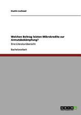 Welchen Beitrag leisten Mikrokredite zur Armutsbekämpfung?